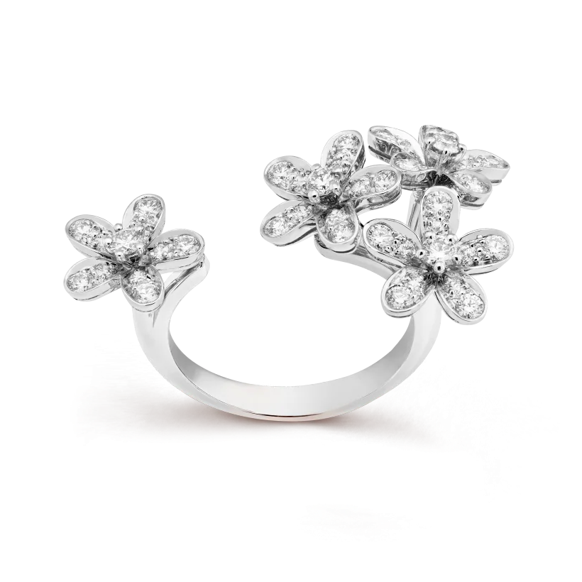 Van Cleef&Arpels Socrate Finger Ring Pure Silver S925