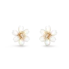 2091324
