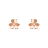 5OBTNr1ZQrK2GNxuzgEVBA