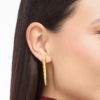 GOLD (1)