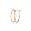 PA7RfnugRm6BgcP058DCwA