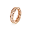 VCARP4E300_001