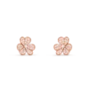 ZCmTIcCVRaOeTRcj9T9YbA