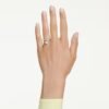 idyllia----------swarovski-5737270.avif