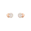 m3QSTnFLGEiwXWZYL38wZQ