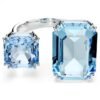 millenia--------swarovski-5694142.avif (1)