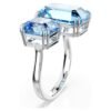millenia--------swarovski-5694142.avif (2)