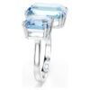 millenia--------swarovski-5694142.avif (3)