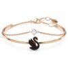 swan--------swarovski-5678048.avif (1)