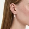 swan----------swarovski-5759942.avif
