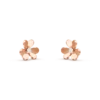 zlwb5eXzR8m_sBt3E0lLHw
